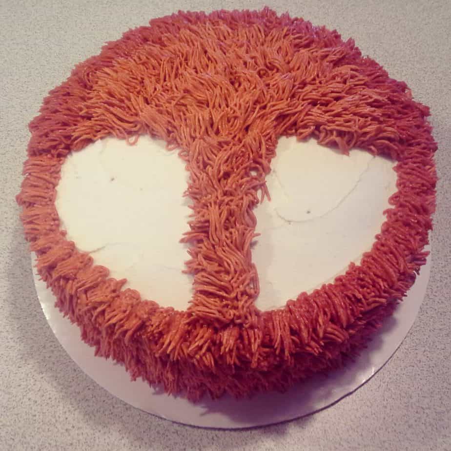 fox cake face