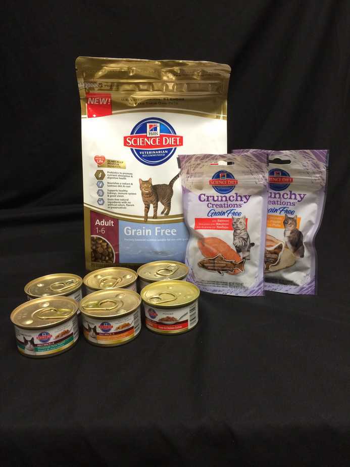 hills grain free cat food