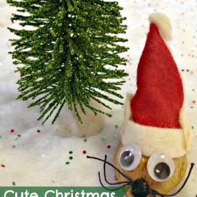 Christmas Mouse Craft: DIY Ornament