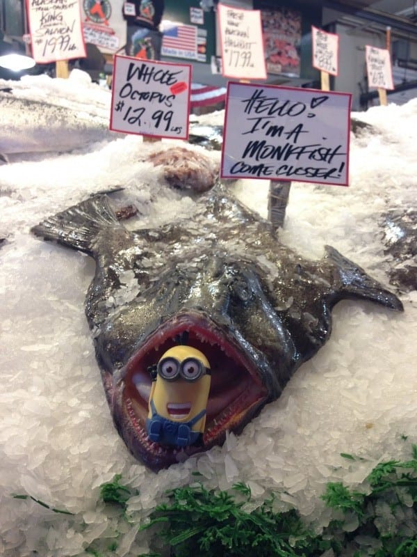 pike-place-market-monkfish