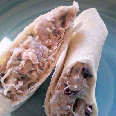 Turkey Cranberry Wrap Recipe