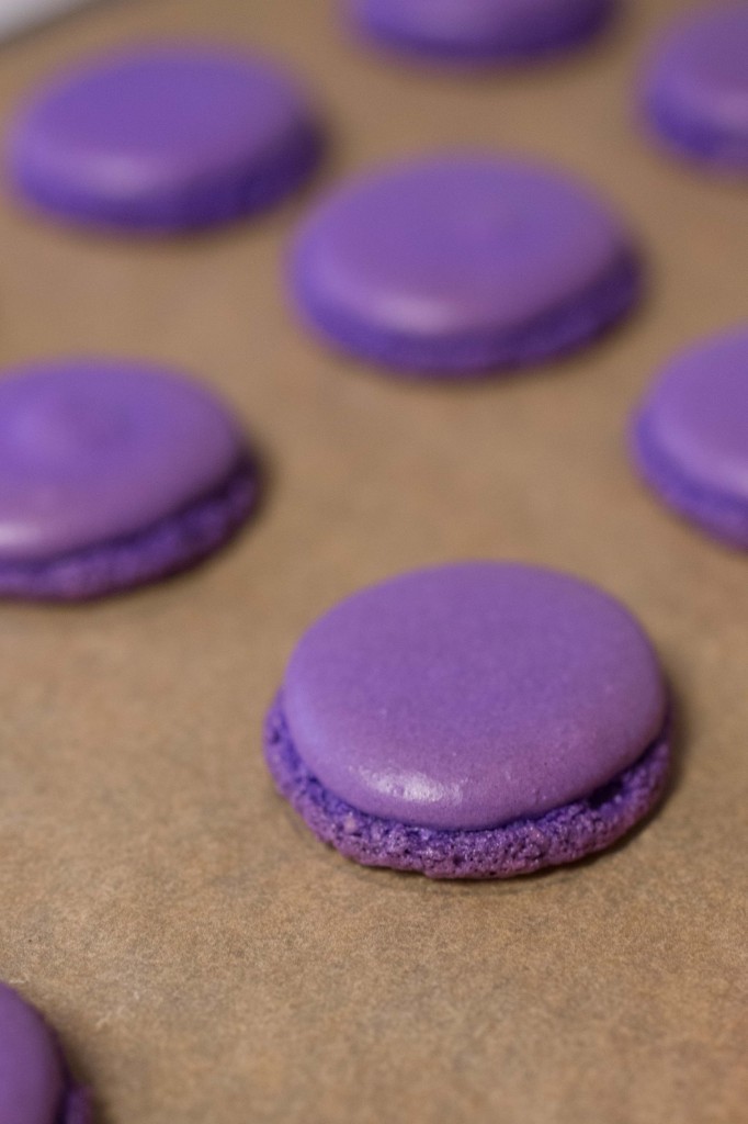 Valentine Macarons Process