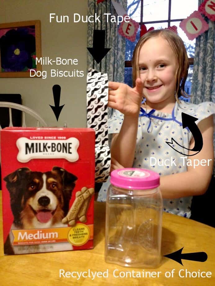 Dog treat hot sale jar target
