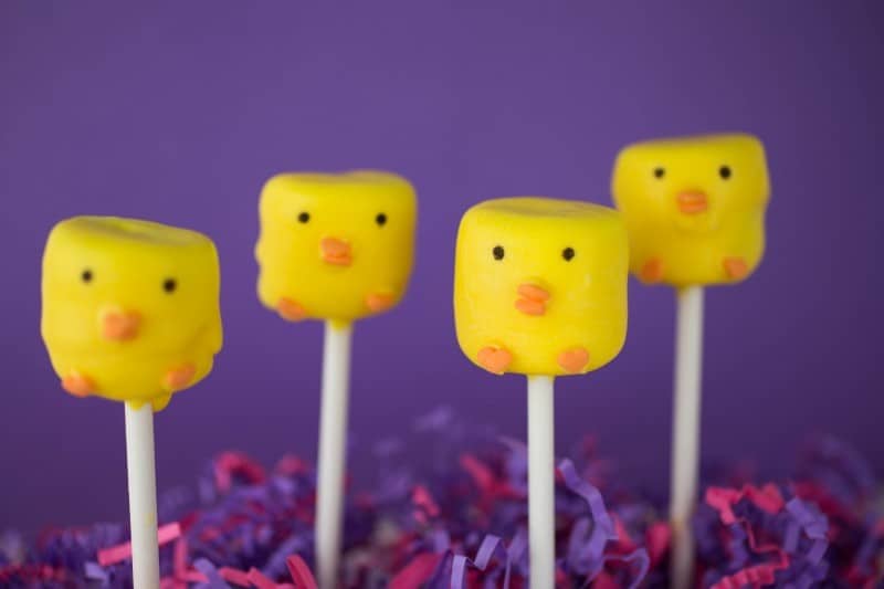 Spring Chick Marshmallow Pops-4 (1)