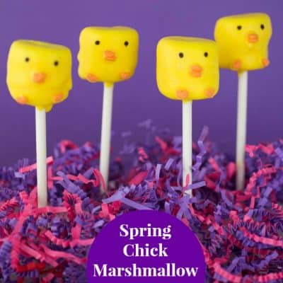 Spring Chick Marshmallow Pops Recipe