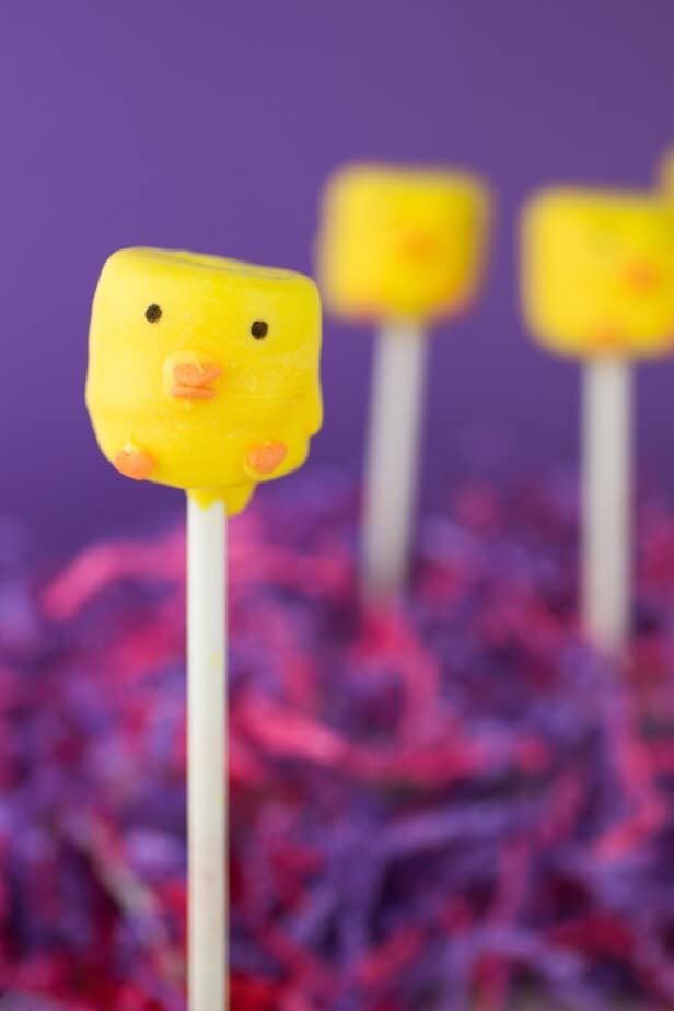 Spring Chick Marshmallow Pops-5