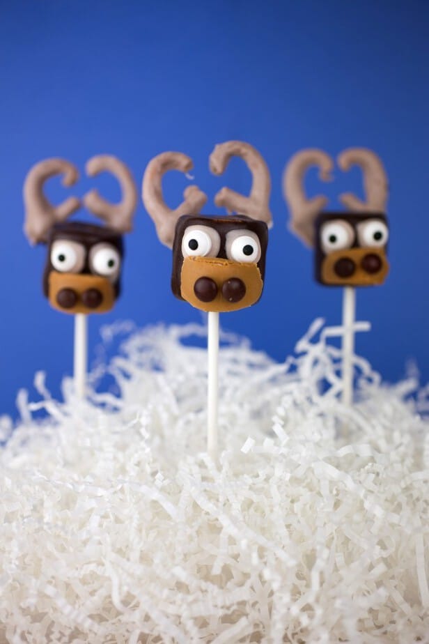 Sven Marshmallow Pops-12