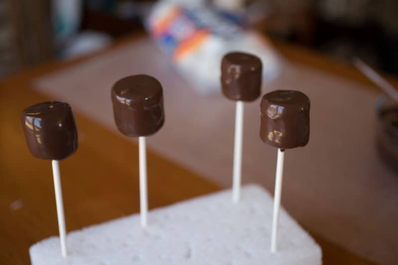 Sven Marshmallow Pops-3