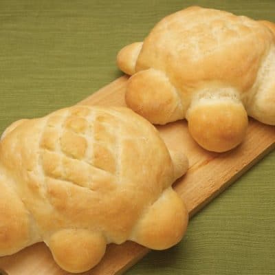 Turtle Bread Vegan Bread Recipe