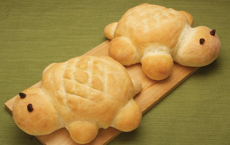 vegan Turtle Bread