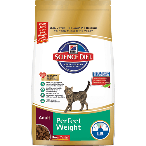 What Is The Best Cat Food For Weight Loss