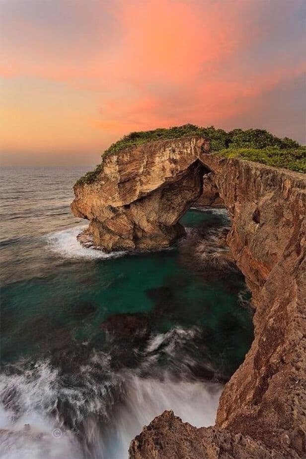 puerto rico nature shot