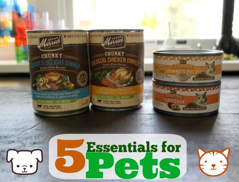 5-essentials-for-pets-petsuppliesplus