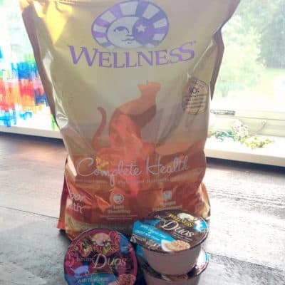 Healthy cat food #WellnessPetFood