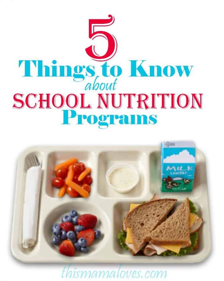 things to know about school nutrition programs