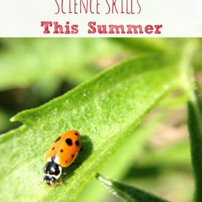 7 Science Activities to Enjoy This Summer