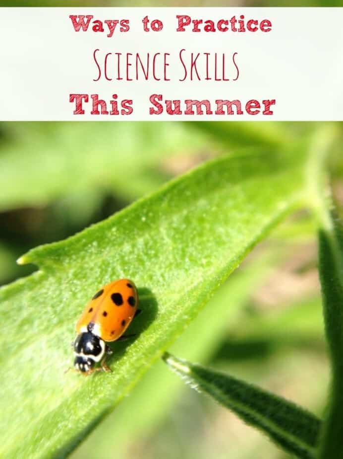 ways-practice-science-skills-summer
