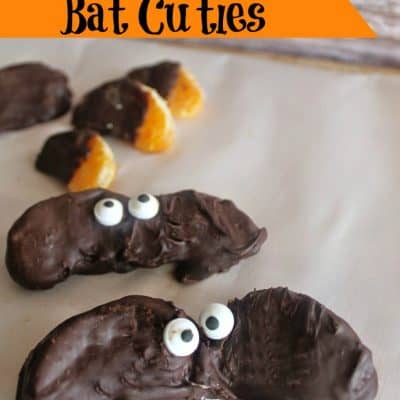 Chocolate Covered Cutie Bats