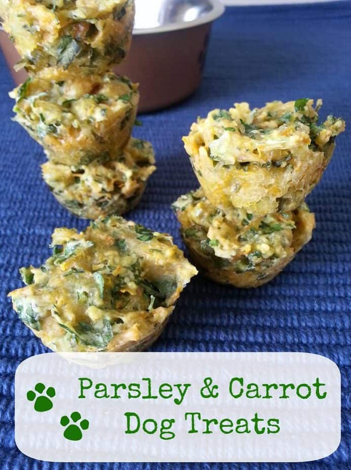 Parsley Carrot Dog Treats Recipe This Mama Loves