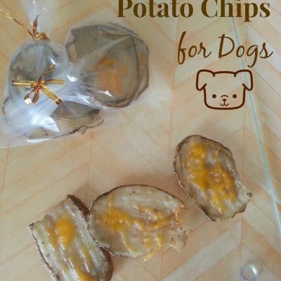 Roasted Cheddar Potato Chips Recipe for Dogs