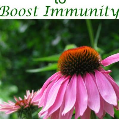 Vitamins to boost immunity