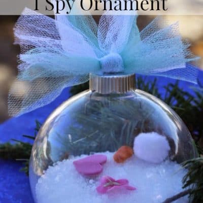 Frozen Inspired I SPY Ornament