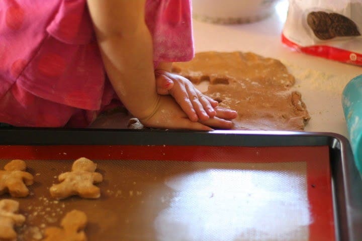 gingerbread cookie hands