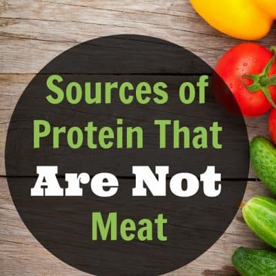 Non meat protein sources