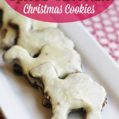 Chocolate Sugar Cookies with Egg Nog Icing