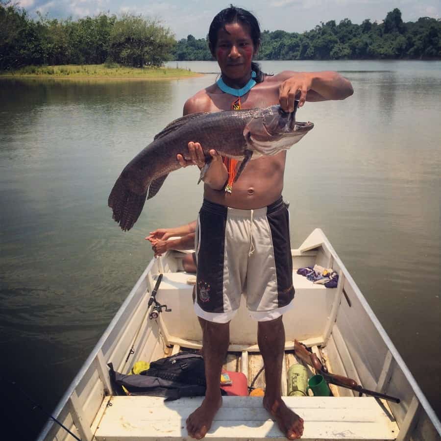 kayapo fish