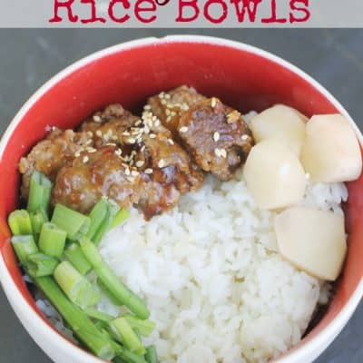 Teriyaki Rice Bowl