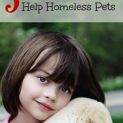 5 Cool Ways Kids Can Help Homeless Pets