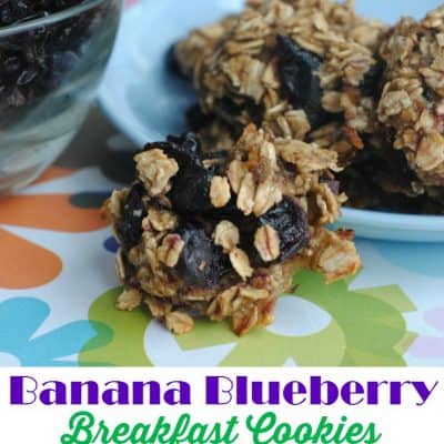 Banana Blueberry Oatmeal Breakfast Cookie