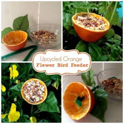 Orange Peel Flower Upcycled Bird Feeder