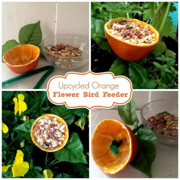 upcycle bird feeder