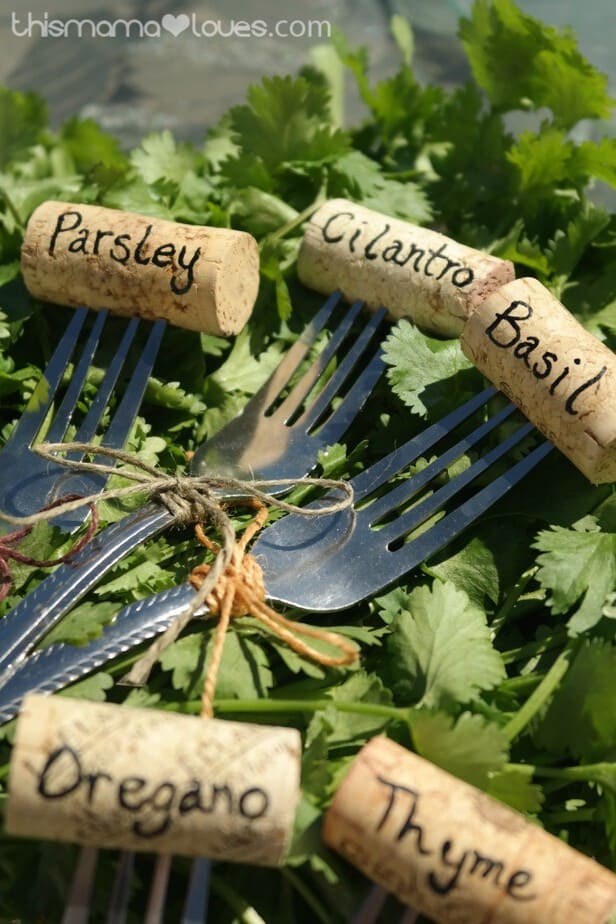 Herb Garden Markers  