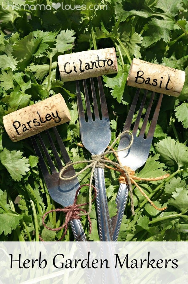 Herb Garden Markers