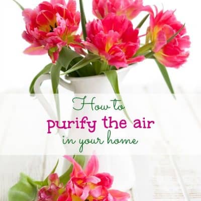 How to purify the air in your home