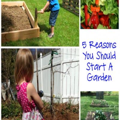 The How and Why For Growing Your Own Garden