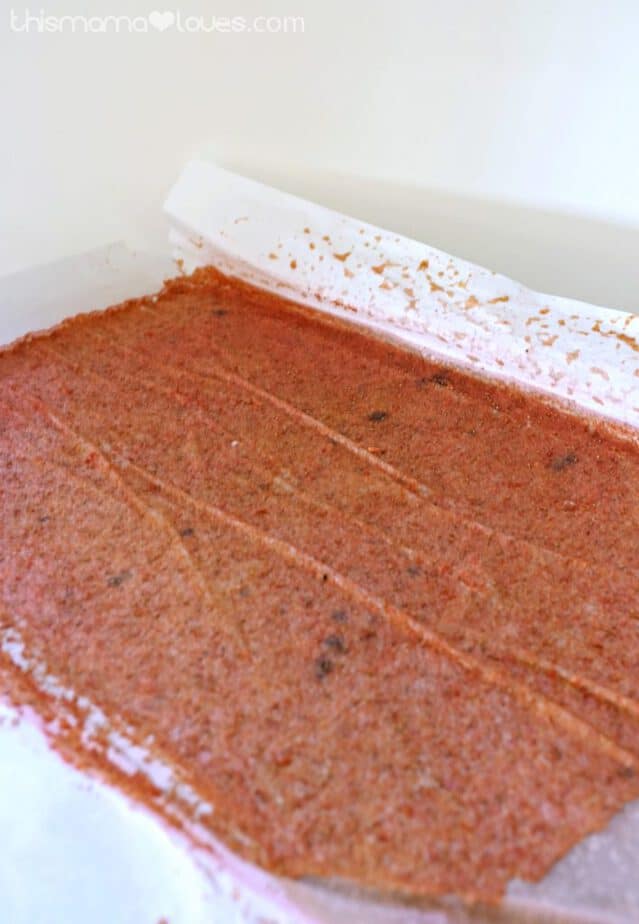 Homemade Healthy Fruit Roll Ups This Mama Loves