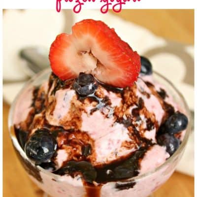 Berry Bramble Homemade Frozen Yogurt