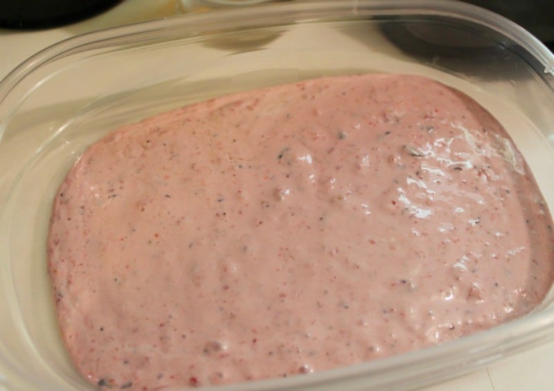 homemade-frozen-yogurt-freezer-ready