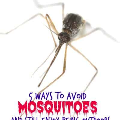 5 Ways to avoid mosquitoes and enjoy the outdoors