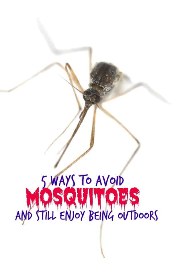 5-ways-avoid-mosquitoes