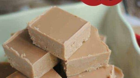2 Ingredient Caramel Apple Fudge