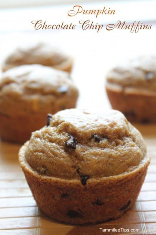 Pumpkin Chocolate Chip Muffins from Tammilee Tips