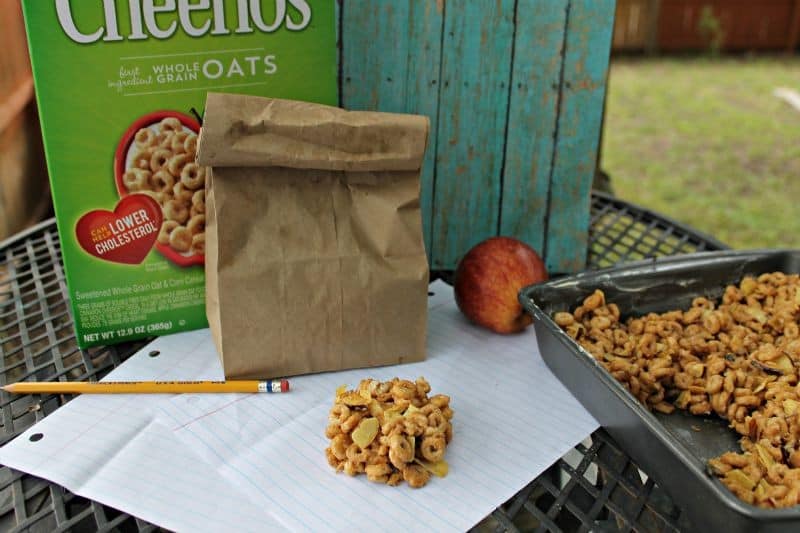 apple cinnamon gluten free cereal bars