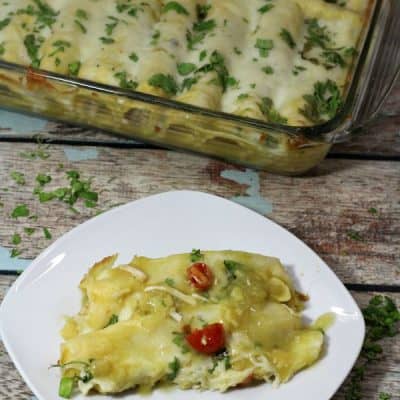 Creamy Chicken Enchiladas