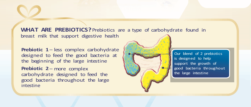 prebiotics