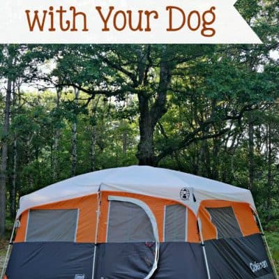 Family Camping with Your Dog